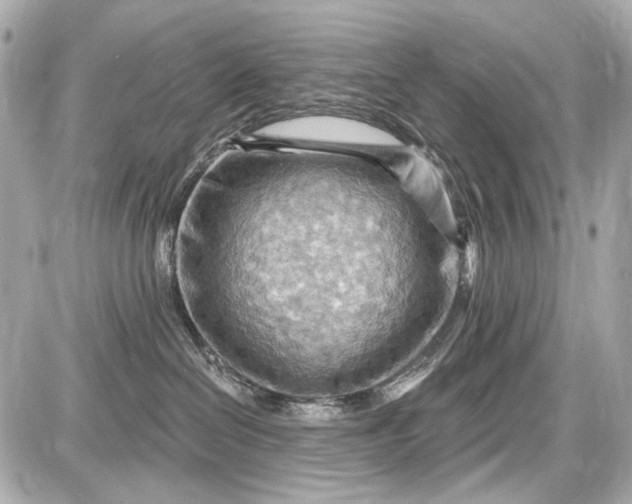 X0000087590286200705112311