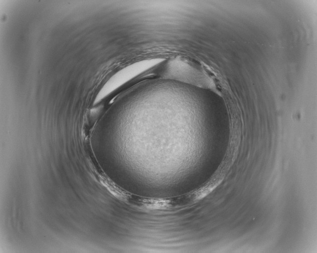 X0000087590288200705112311