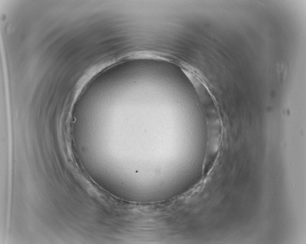 X0000087590289200705112310