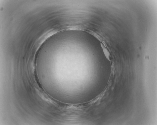 X0000087590290200705112310