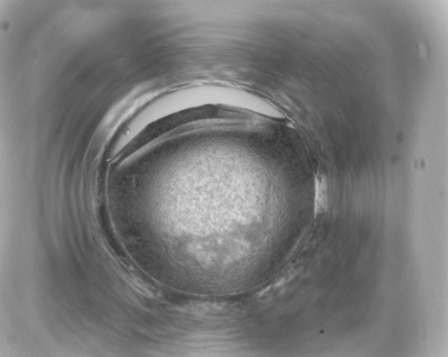 X0000087590291200705112310