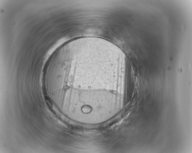 X0000087590292200705112310