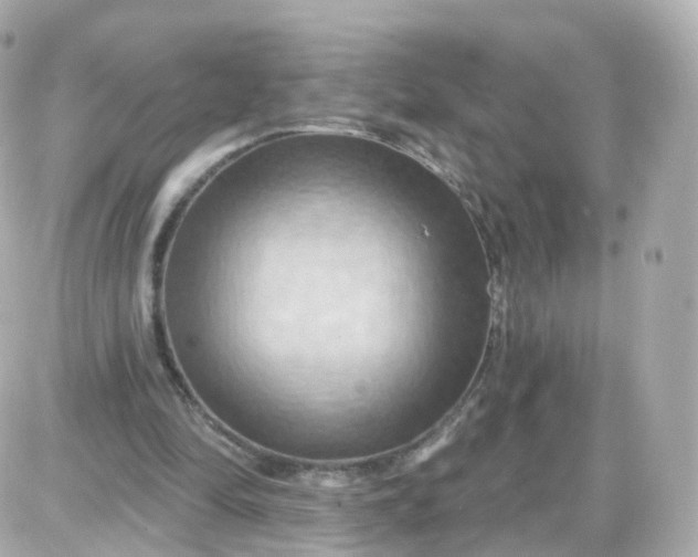 X0000087590294200705112310