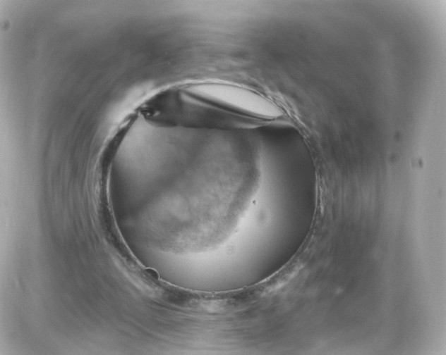 X0000087590295200705112310