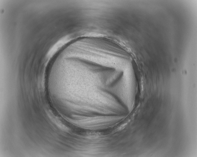 X0000087590296200705112310