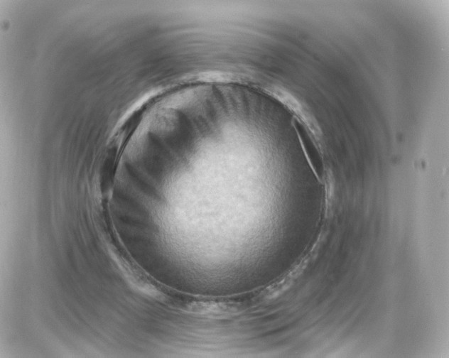 X0000087590297200705112310