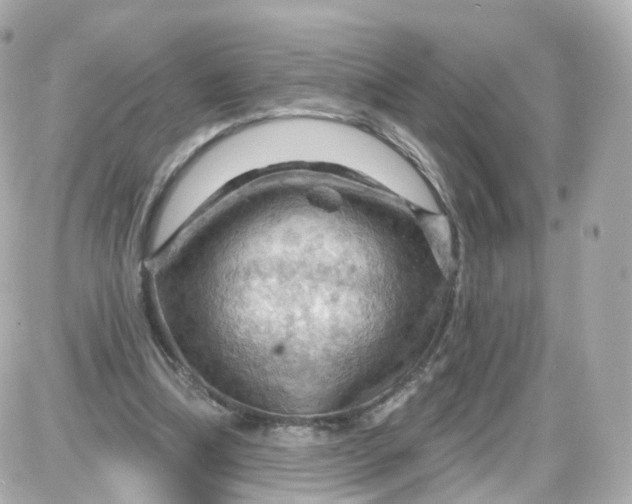 X0000087590298200705112310