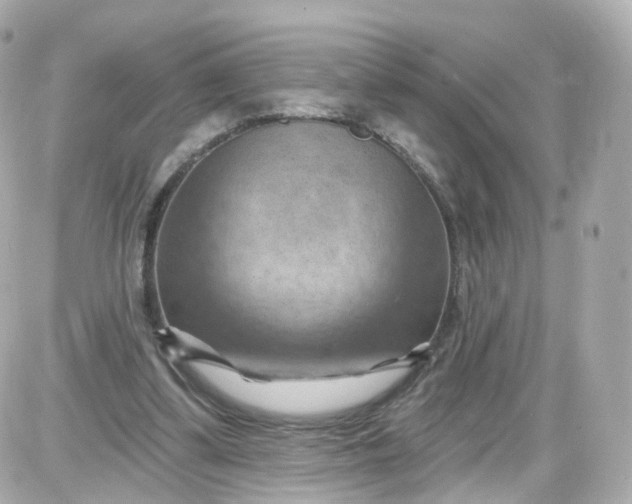 X0000087590299200705112310