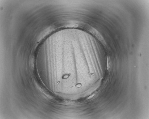 X0000087590300200705112310