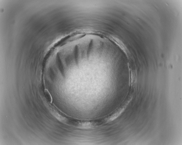 X0000087590301200705112310