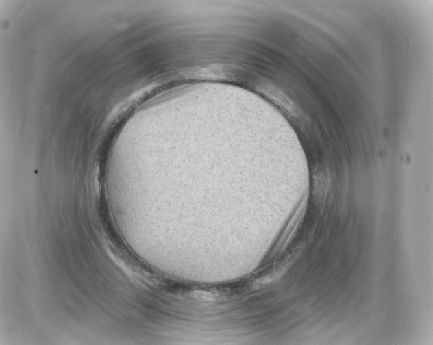 X0000087590302200705112310