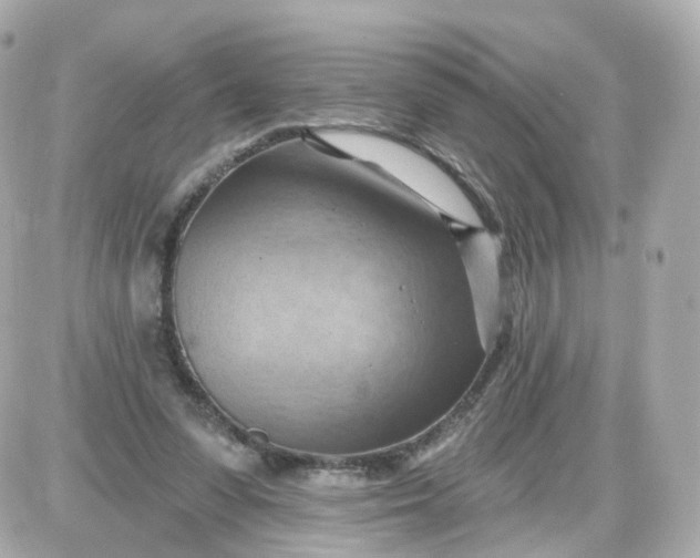 X0000087590303200705112310