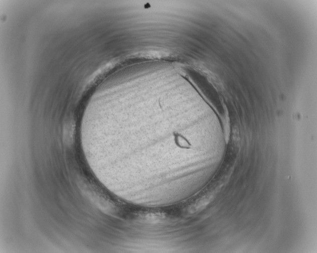 X0000087590304200705112310