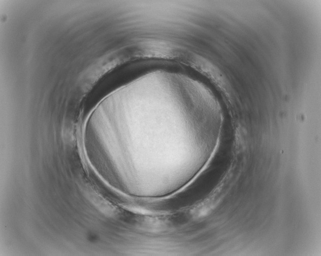 X0000087590305200705112310