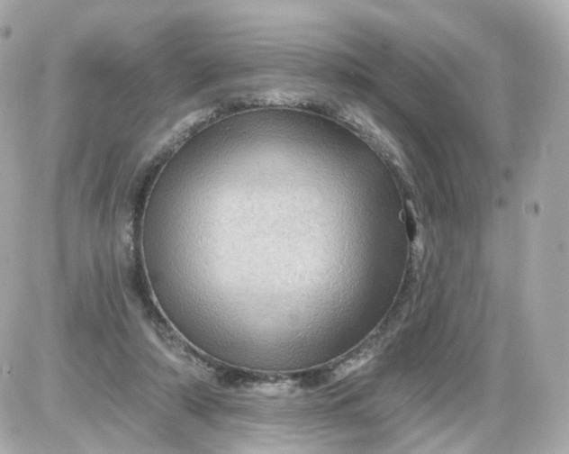 X0000087590306200705112310