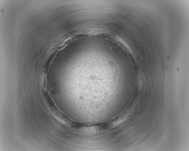 X0000087590307200705112310