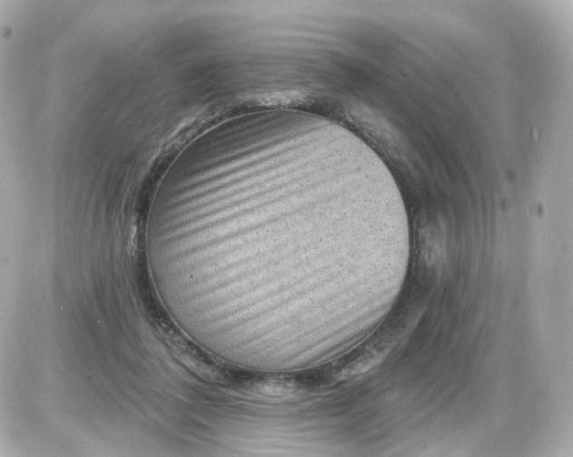 X0000087590308200705112310