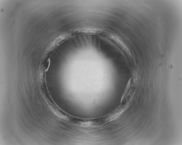 X0000087590309200705112310