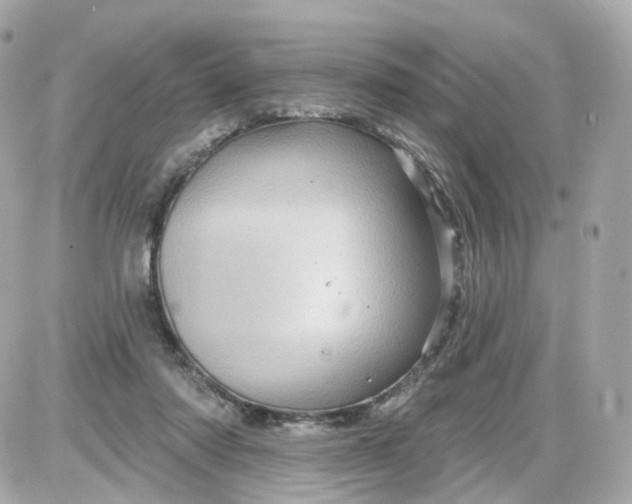 X0000087590310200705112310