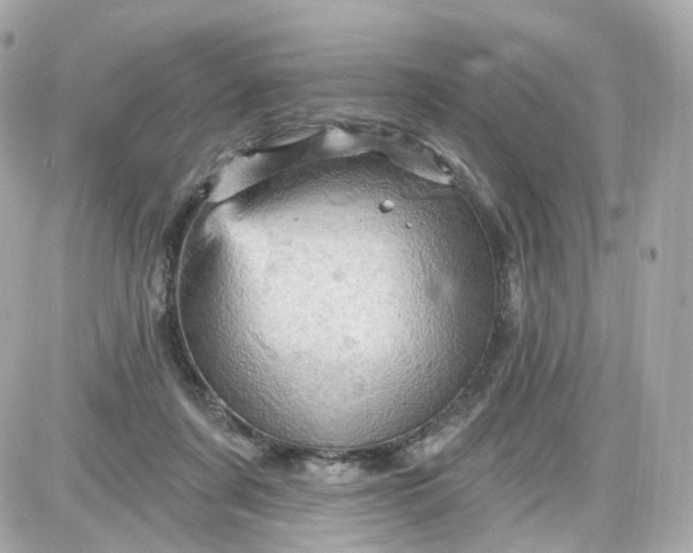 X0000087590311200705112310