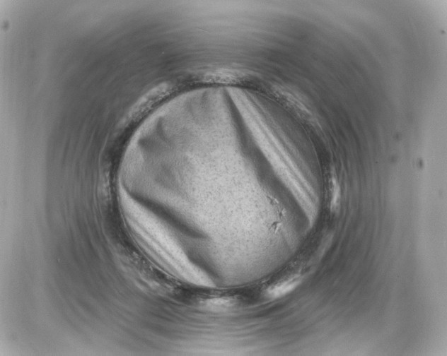 X0000087590312200705112310