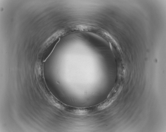 X0000087590313200705112310