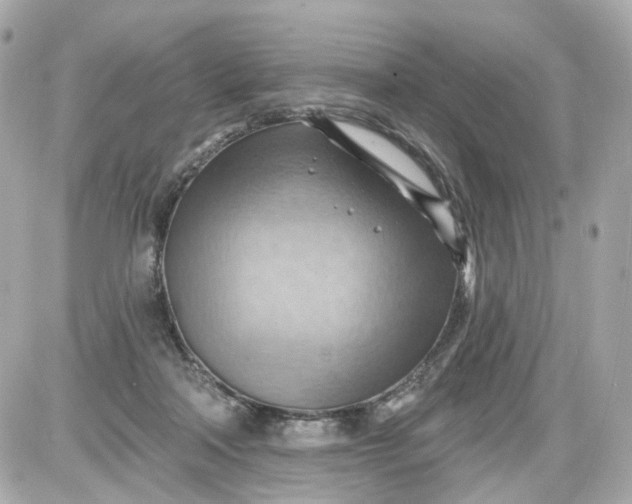 X0000087590314200705112310