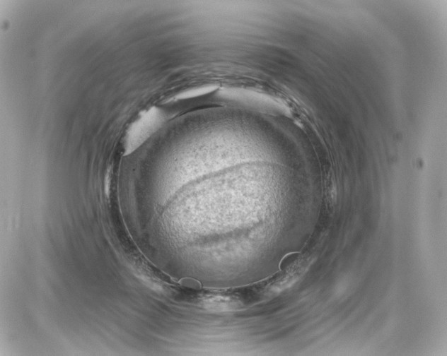 X0000087590315200705112310