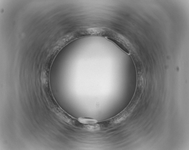 X0000087590317200705112310