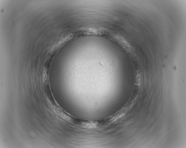 X0000087590318200705112310