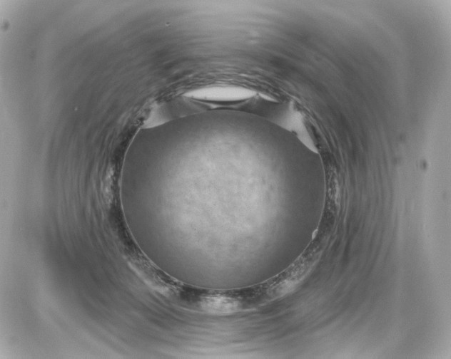 X0000087590319200705112310