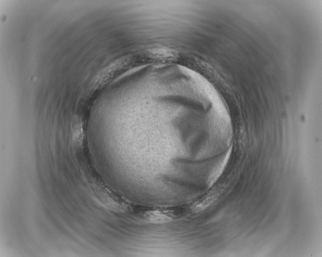 X0000087590320200705112309