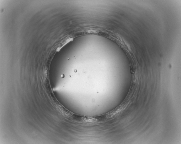 X0000087590321200705112309