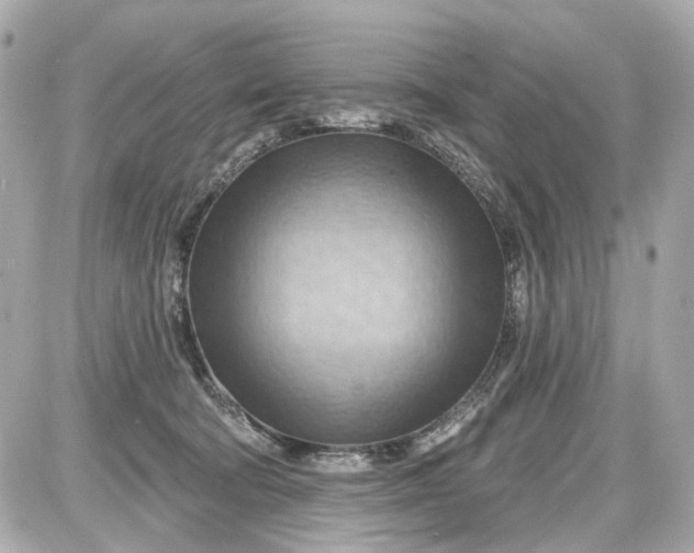 X0000087590322200705112309