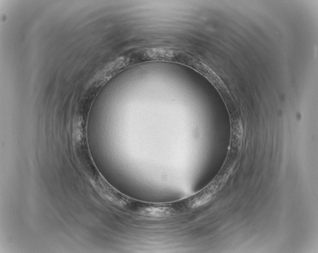 X0000087590323200705112309