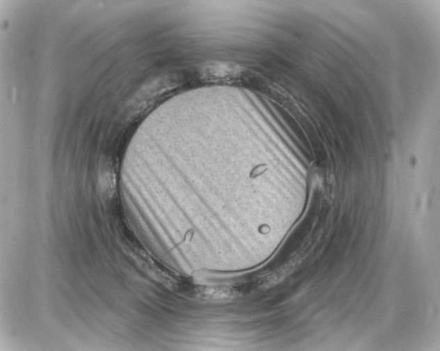 X0000087590324200705112309