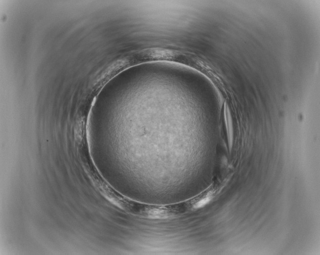 X0000087590325200705112309