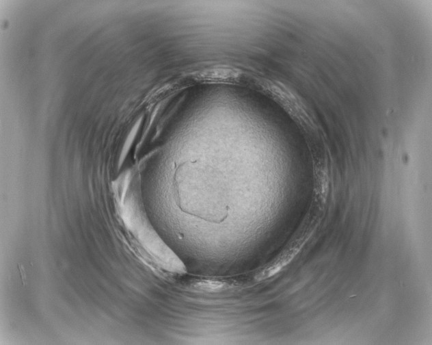 X0000087590326200705112309