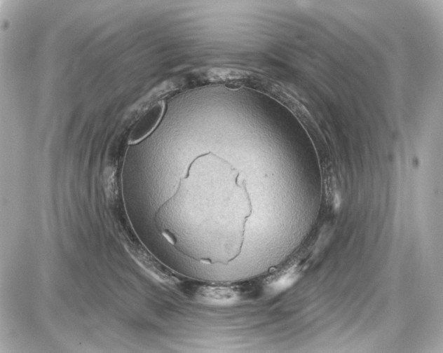 X0000087590327200705112309