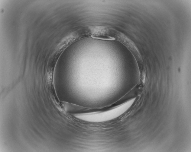 X0000087590329200705112309