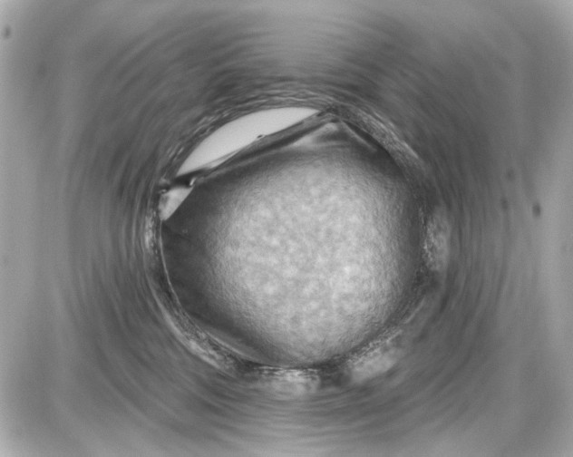 X0000087590330200705112309