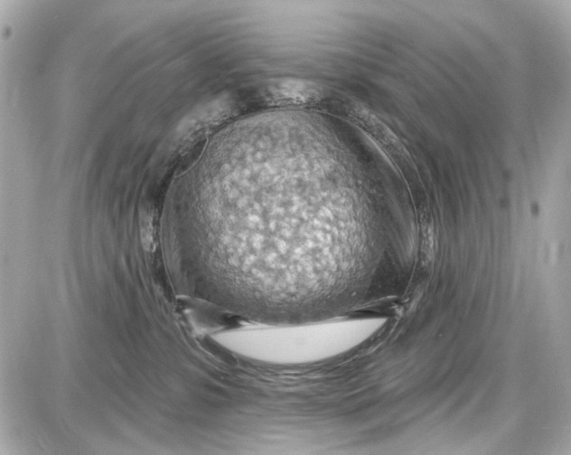 X0000087590331200705112309