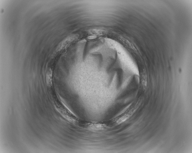 X0000087590332200705112309