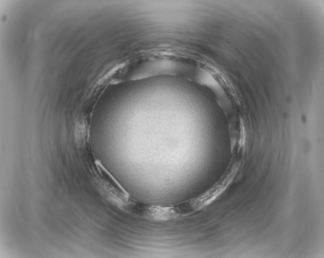 X0000087590333200705112309