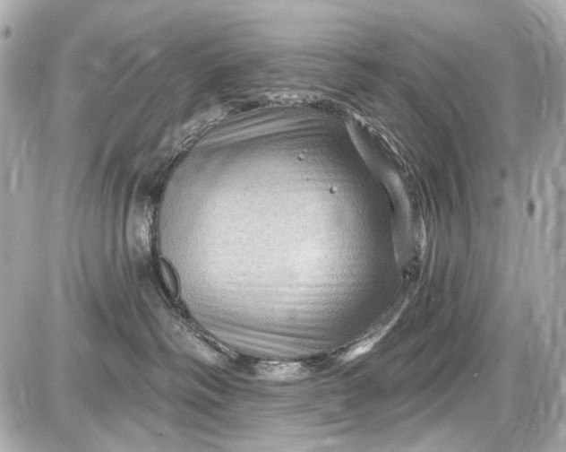 X0000087590334200705112309