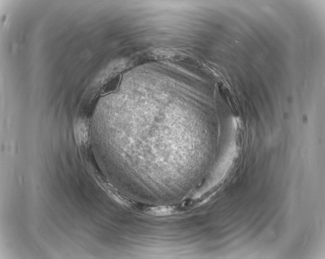 X0000087590335200705112309