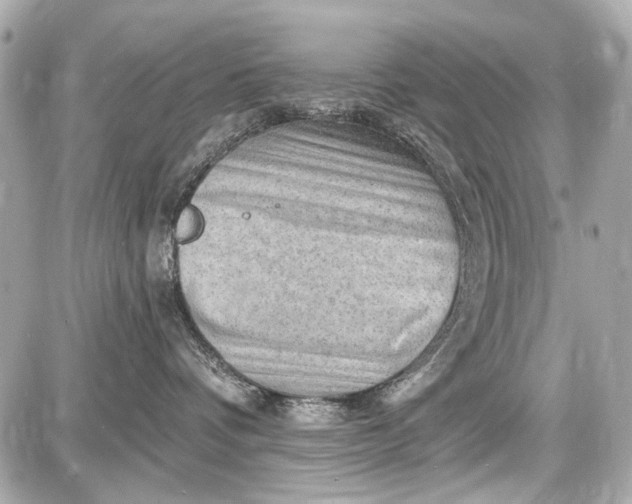 X0000087590336200705112309