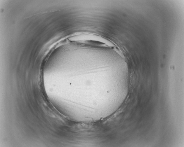 X0000087590338200705112308