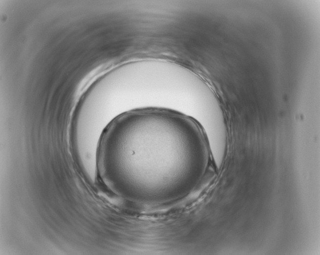 X0000087590340200705112309