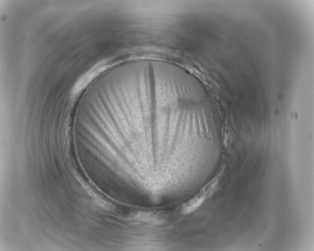 X0000087590341200705112309